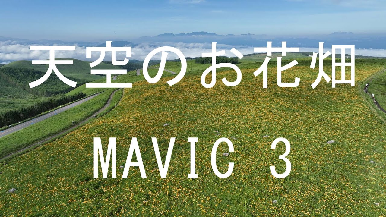 天空のお花畑 霧ヶ峰高原 Mavic3 Youtube