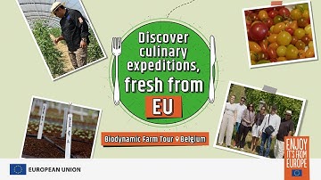 A Biodynamic Farm Experience in Ypres, Belgium​