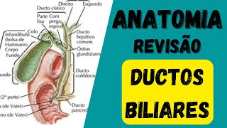 ANATOMIA TODOS OS DUCTOS BILIARES