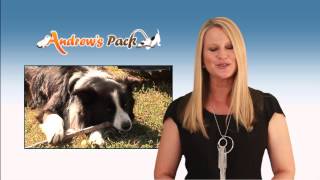Sample Service Introduction : by Novita Digital Studios http://www.novitadigitalstudios.com