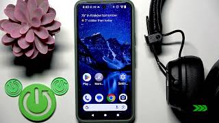 MARSHALL Major V – How to Enable or Disable Mono Audio screenshot 5