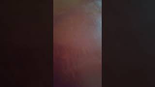 Ds Wheel Of Fortune Final Spin Music