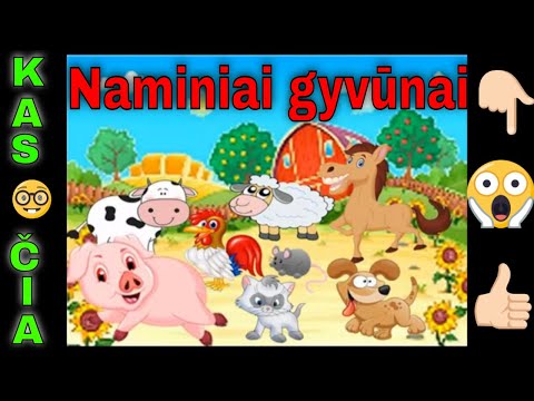 Naminiai Gyvūnai ❤ Mokomės Garsų ❤ Mokomasis Filmukas Vaikams Lietuviškai ❤