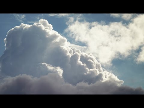 Sense of Wonder｜印傳屋 INDEN-YA  〈 TV-CM 15sec. B 〉