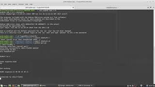 Communication between Raspberry Pi and mOByDic 4910 rev 2 using ISO 9141-2 Protocol