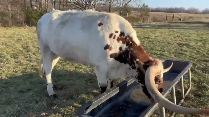 471426776 8864919100294811 5754232266480965062 n