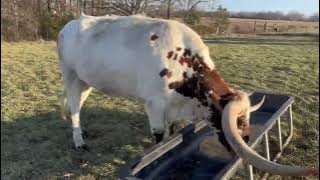 471426776 8864919100294811 5754232266480965062 n