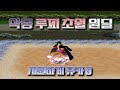 [원랜디] 악몽에서 시원하게 루피 초월 한 그릇