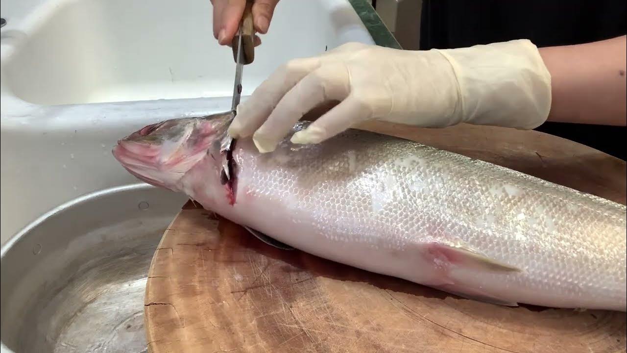 Cách làm chả cá Măng từ Cá tươi nguyên con ( how to make fish paste