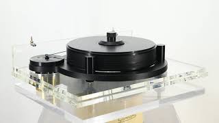 Michell Orbe - Black