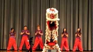 Cssap Lion Dance Exhibition
