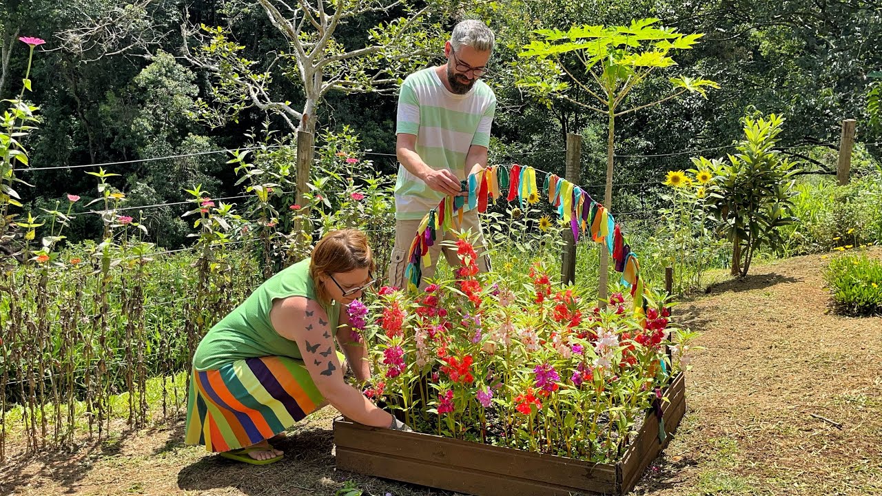 Ep. 99 - PROBLEMA RESOLVIDO (Por quanto tempo?)