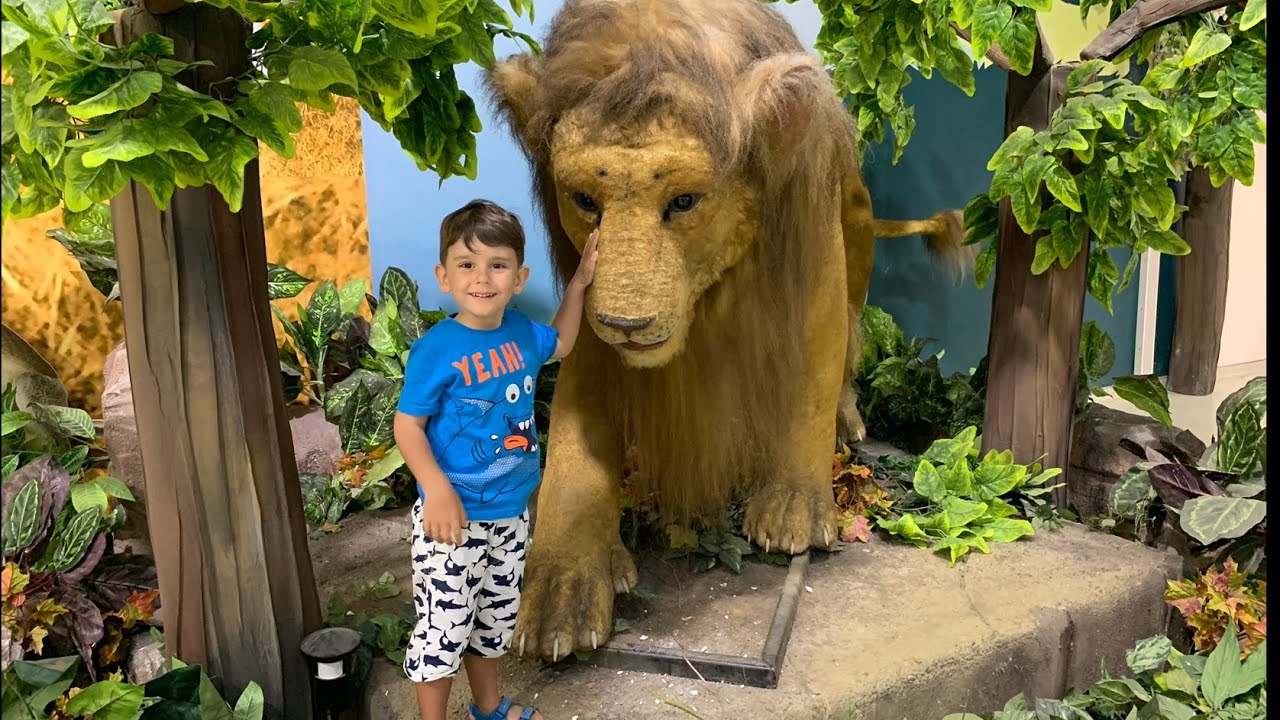 Yusuf vahşi hayvanları sevdi🦁Pilot oldu✈️ Veteriner oldu köpekleri tedavi etti🐶 Çiftlik gezdi🐄