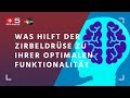 Was hilft der Zirbeldrüse zu ihrer optimalen Funktionalität, TTD-Sendung vom 30.12.2020