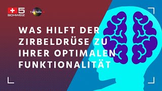 Was hilft der Zirbeldrüse zu ihrer optimalen Funktionalität, TTD-Sendung vom 30.12.2020