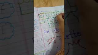 Class: Kindergarten Green Activity: Types of English letters Date: 24-04-26