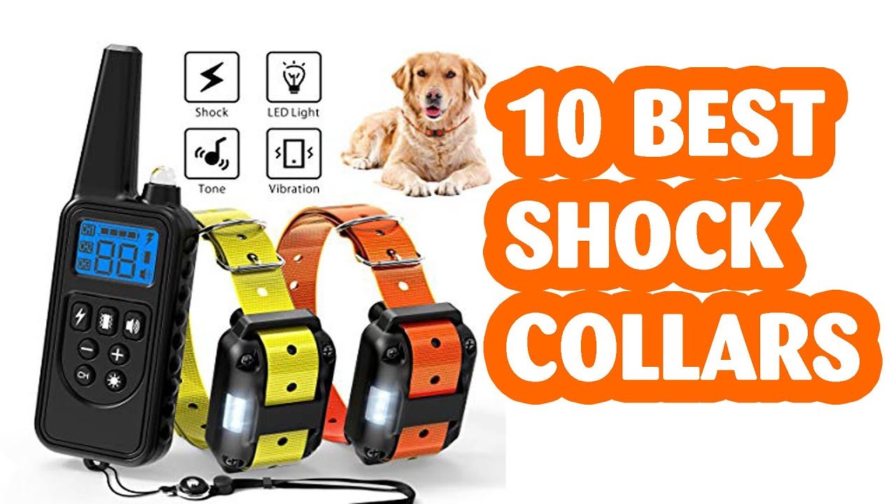 10 Best Shock Collars . The best shock collar to training Dog for 2019