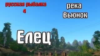 Русская рыбалка 4(рр4/rf4) - река Вьюнок. Елец.