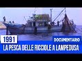 DOCUMENTARIO - La pesca delle ricciole a Lampedusa - 1991