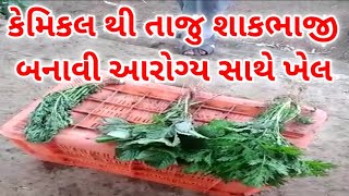 કેમિકલ થી તાજુ શાકભાજી બનાવી આરોગ્ય સાથે ખેલ કેમિકલ થી તાજુ શાકભાજી બનાવી આરોગ્ય સાથે ખેલ
