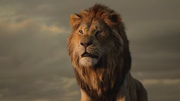 The Lion King 2019 - Simba Returns To The Pride Lands I 4K Ultra HD