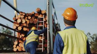 How It's Made Utility Poles / Wood-Poles / Holzmasten