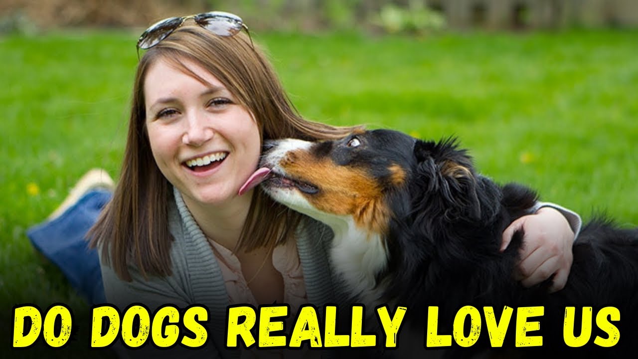 Do Dogs Really Love Us