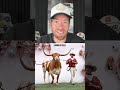 Must-visit college football traditions 🏈