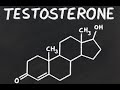 РОСТ ТЕСТОСТЕРОНА НА 171% | ЭКСПЕРИМЕНТ &quot;ВЫСОКОЕ ЛГ&quot; ПЕРВЫЕ ДАННЫЕ