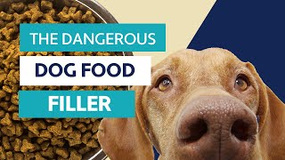 The Dangerous Dog Food Ingredient