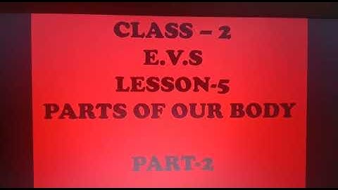Class II EVS Lesson -5 PARTS OF OUR BODY