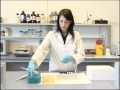 Genética: técnica PCR