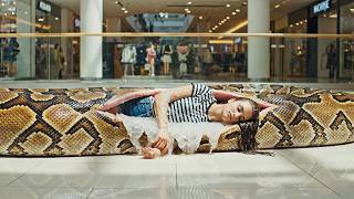 Celebrity rescueanimal: Giant Python Attacks Woman in Shopping Mall - Security Guard Rescue Wealth