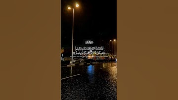 سورة الملك_مشاري العفاسي_ أولم يروا إلى الطير فوقهم صافاتٍ ويقبضن #quran #quranverses #alquran #قرآن
