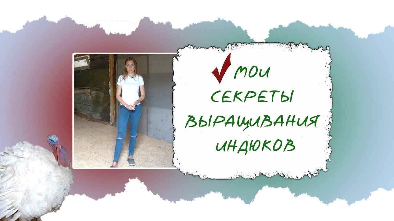 Нетипичный Фермер Пенза Интернет Магазин