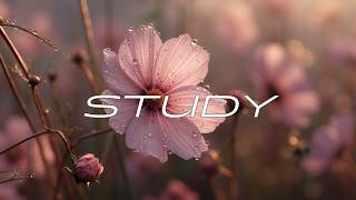 Acoustic Guitar Relaxation | Soft Fingerstyle Melodies for Deep Focus and Inner Calmness