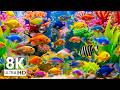 Explore the Best Underwater World 8K VIDEO ULTRA HD — Stunning Aquarium Fish and Sea Creatures