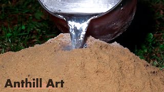 Five Fire Ant Colony Casting Session Part 1: Casts 1 & 2
