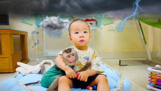 Monkey Pupu is scared of thunder, Nguyen reassures him!