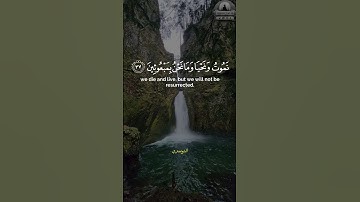 سورة المؤمنون بصوت ياسر الدوسري #قرآن #القرآن_الكريم #السعودية #المغرب #العراق #الجزائر #تونس #مصر