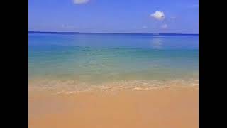 20251219_110231.mp4
