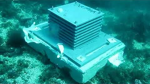 Autonomous Reef Monitoring Structures (ARMS) - Cabo Verde, West Africa