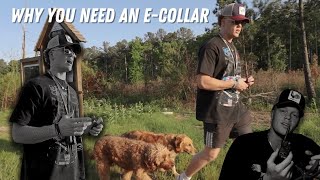 Why You Need An E-Collar by Gabe Bollinger 4,814 views 1 year ago 2 minutes, 47 seconds