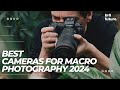 Best Cameras For Macro Photography 2024 Best Camera For Photography In 2024 