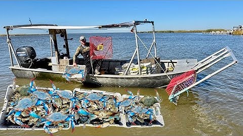 $293 Million Worth of Crab and I Got to Help Catch Them! (Catch & Cook)