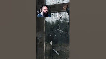 This Window Peek is Unfair #huntshowdown #beard #crytek