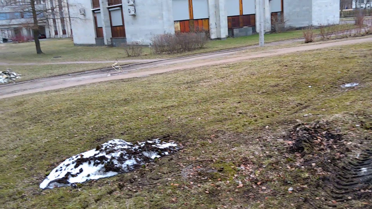 Я исследую Физфак и химфак СПбГУ - YouTube