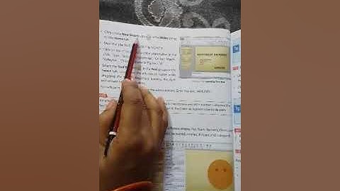 Class-5 Chapter-7 Slide Organisation in PowerPoint (Part-3)