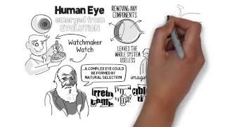 Irreducible Complexity?  Evolution of the Eye Explained