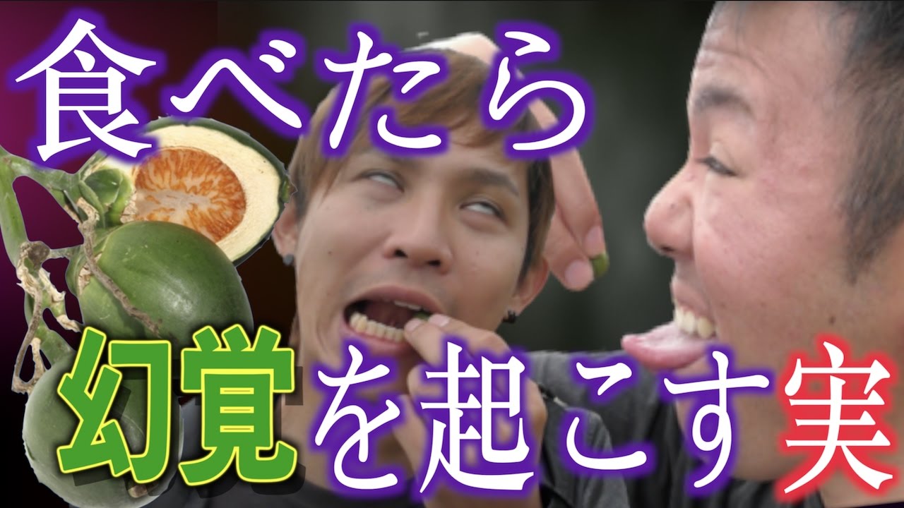 チョウセン アサガオ 食べ て みた